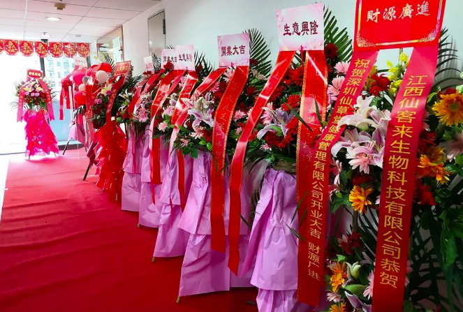 中國靈芝十大品牌|仙客來靈芝|仙客來靈芝破壁孢子粉|仙客來孢子油|仙客來靈芝飲片|仙客來破壁孢子粉|仙客來靈芝中藥飲片|馳名商標(biāo)|m.thomassmithdesign.com|