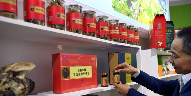 中國靈芝十大品牌|仙客來靈芝|仙客來靈芝破壁孢子粉|仙客來孢子油|仙客來靈芝飲片|仙客來破壁孢子粉|仙客來靈芝中藥飲片|馳名商標(biāo)|m.thomassmithdesign.com|