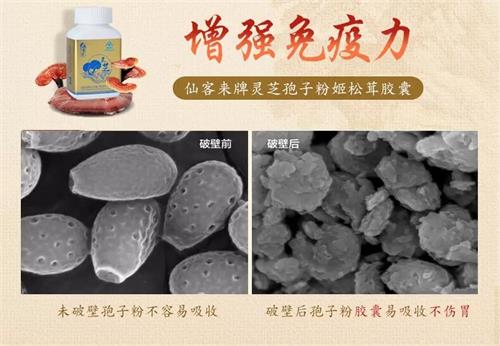 杭州亞運會官方靈芝產(chǎn)品供應商|杭州亞運會官方供應商|中國靈芝十大品牌|仙客來靈芝|仙客來靈芝破壁孢子粉|仙客來孢子油|仙客來靈芝飲片|仙客來破壁孢子粉|靈芝孢子油|孢子粉|靈芝破壁孢子粉|靈芝|中華老字號