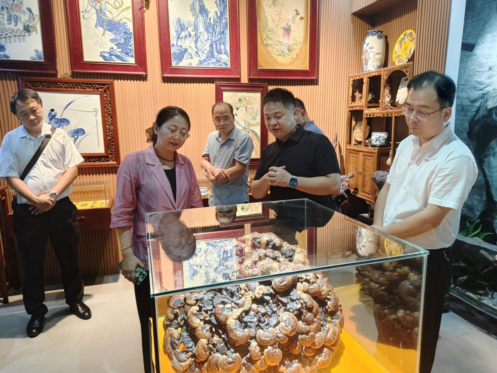 杭州亞運(yùn)會官方靈芝產(chǎn)品供應(yīng)商|杭州亞運(yùn)會官方供應(yīng)商|中國靈芝十大品牌|仙客來靈芝|仙客來靈芝破壁孢子粉|仙客來孢子油|仙客來靈芝飲片|仙客來破壁孢子粉|靈芝孢子油|孢子粉|靈芝破壁孢子粉|靈芝|中華老字號
