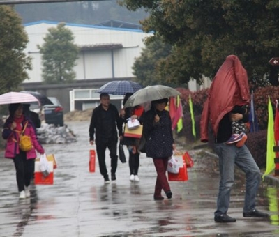 九江暴雨，仙客來“暴游”