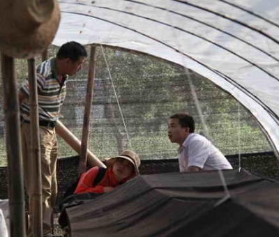 著名真菌學家戴玉成教授蒞臨仙客來公司考察指導