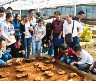 九江學(xué)院師生在仙客來(lái)公司舉行實(shí)踐活動(dòng)