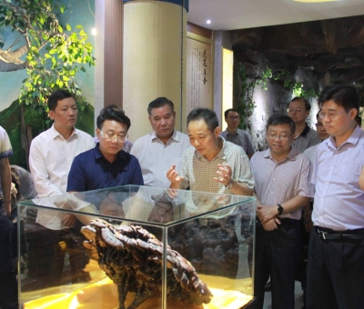 “降成本，優(yōu)環(huán)境”助企業(yè)騰飛——江西省政協(xié)副主席率團調研仙客來！