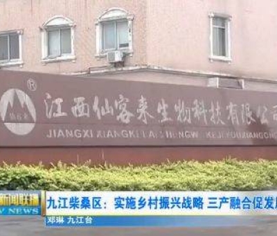 中國人只需要“別具”，缺失了“匠心”！