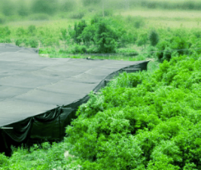 感謝廬山吧，這會(huì)是一場(chǎng)“仙旅情緣”