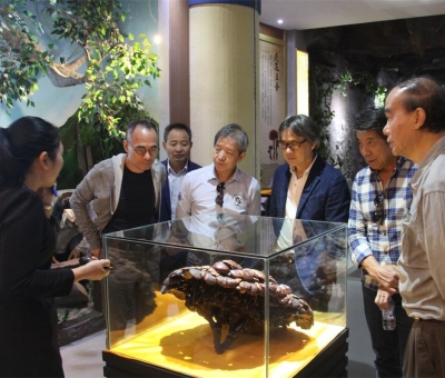 健康“良方”在這！全國政協(xié)委員、世界著名大學香港大學 榮譽院士孫少文博士蒞臨仙客來公司參觀考察