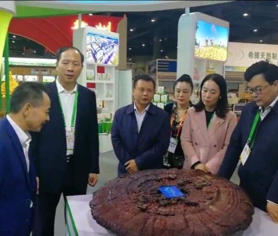 仙客來綠色有機靈芝在第十七屆中國國際農產品交易會一展風采