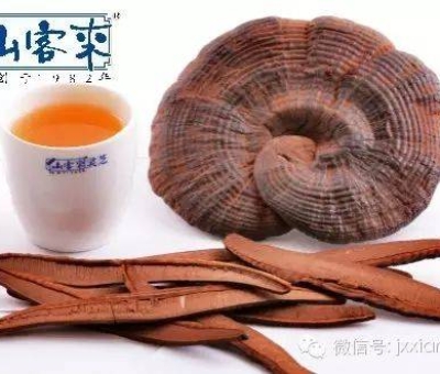 熱潮不斷！仙客來有機(jī)靈芝被點(diǎn)贊刷屏