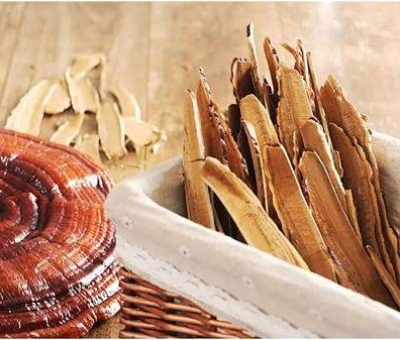 仙客來有機(jī)精選赤靈芝切片煲湯泡茶必備好物