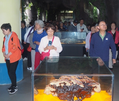 深深靈芝情！中華全國供銷合作總社再訪仙客來