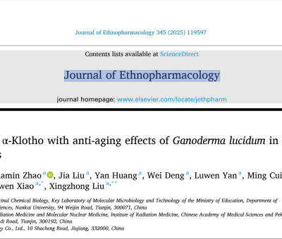 靈芝抗衰老最新研究 - 南開大學(xué)、仙客來等在《Ethnopharmacology》上發(fā)表論文